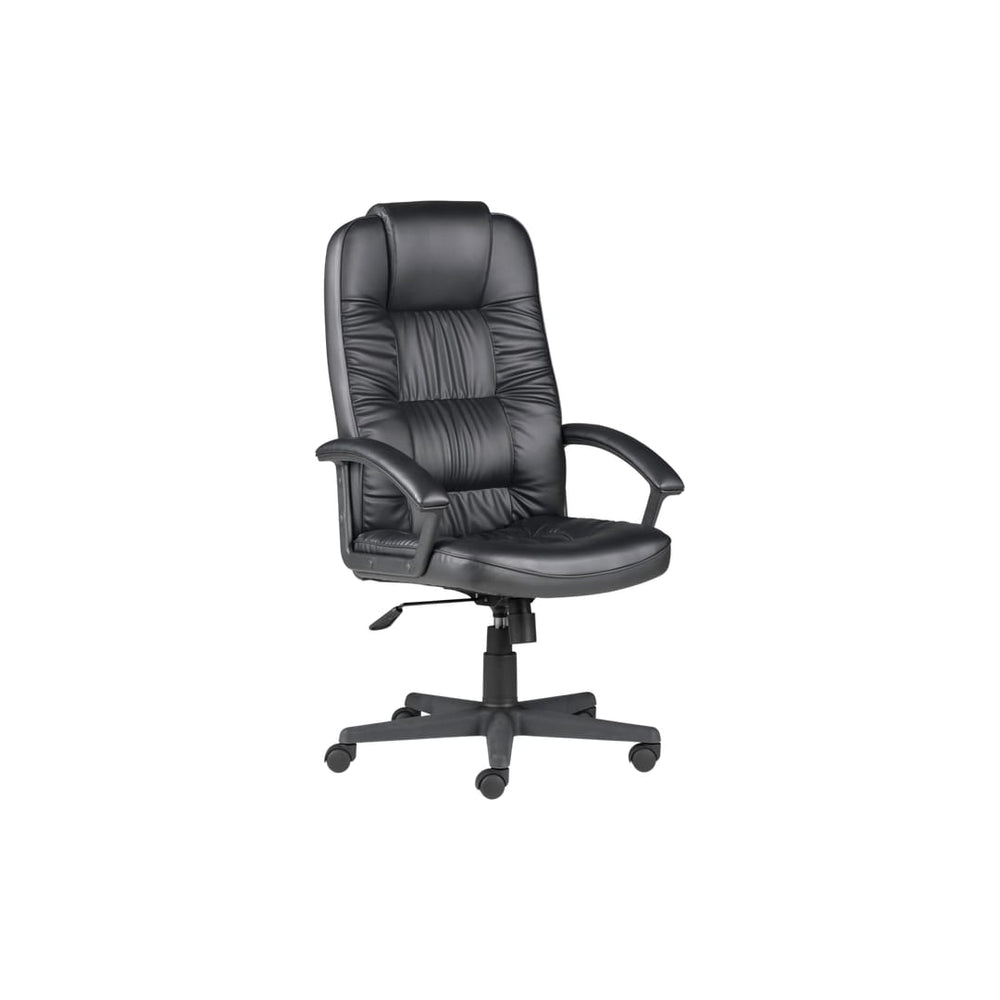 Chair Solutions CEO Executive Chair