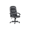Chair Solutions CEO Executive Chair