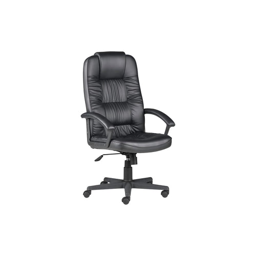 Chair Solutions CEO Executive Chair
