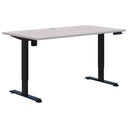 Accent Duo II Electric Desk