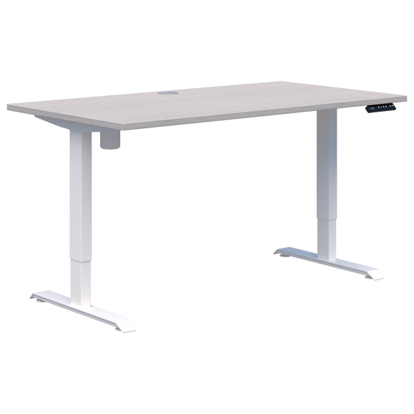 Accent Duo II Electric Desk