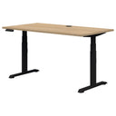 Accent Rapid Premium Electric Desk