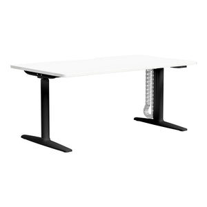 Buro Syntra Single Electric Height Adjustable Desk