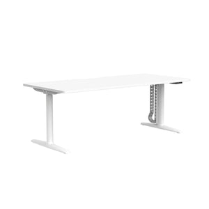 Buro Syntra Single Electric Height Adjustable Desk