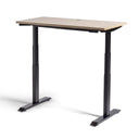 Rise Electric Height Adjustable Straight Desk