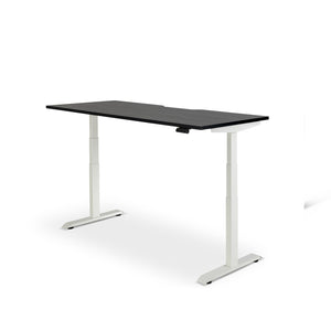 Rise Electric Height Adjustable Straight Desk