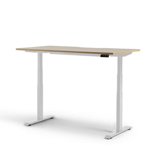 Rise Electric Height Adjustable Straight Desk