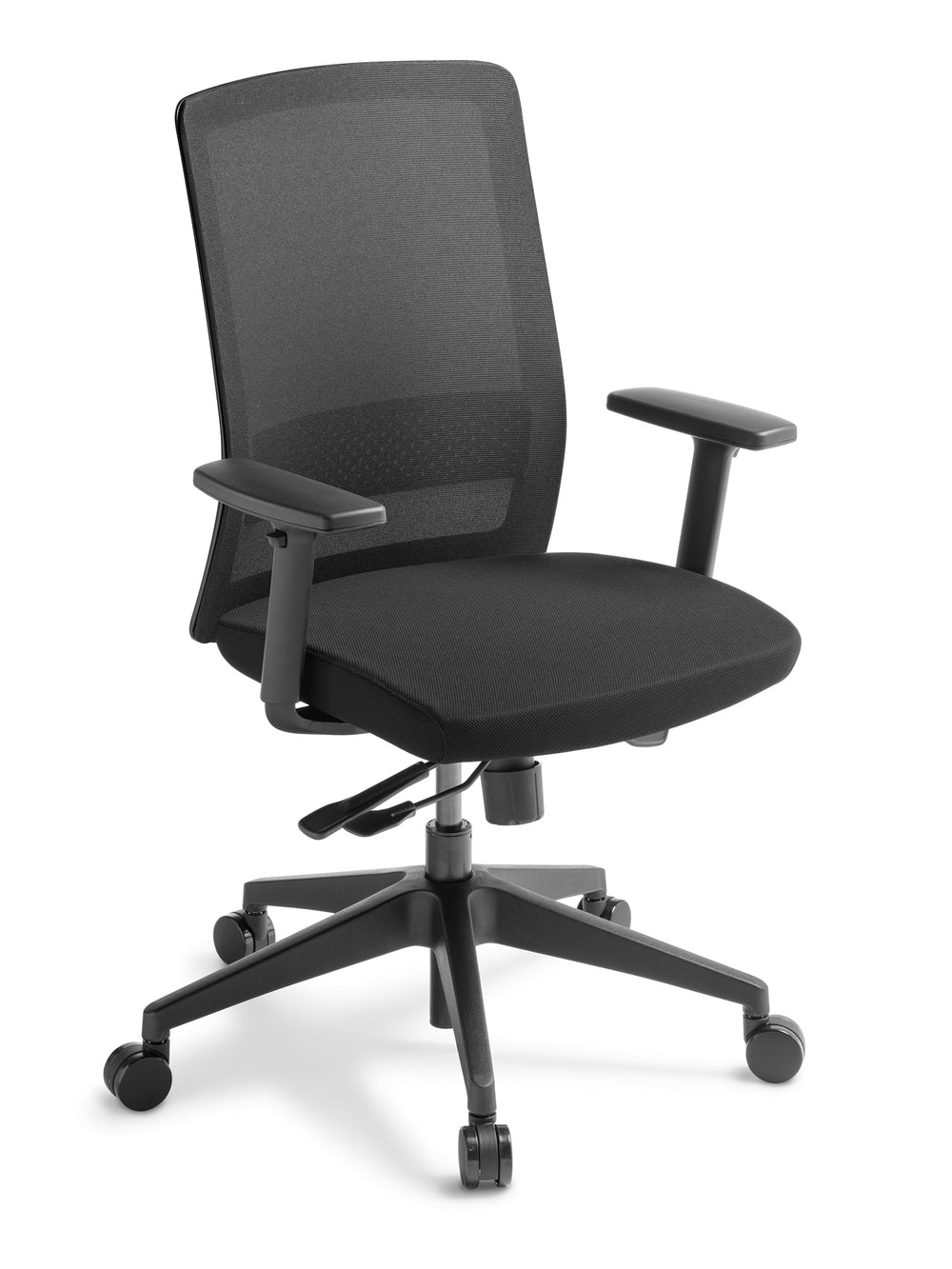 Eden Coach Chair with Arms