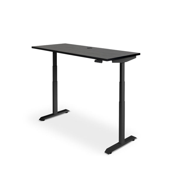 Rise Electric Height Adjustable Straight Desk